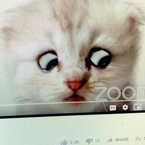 Meet your Posher, Jeena